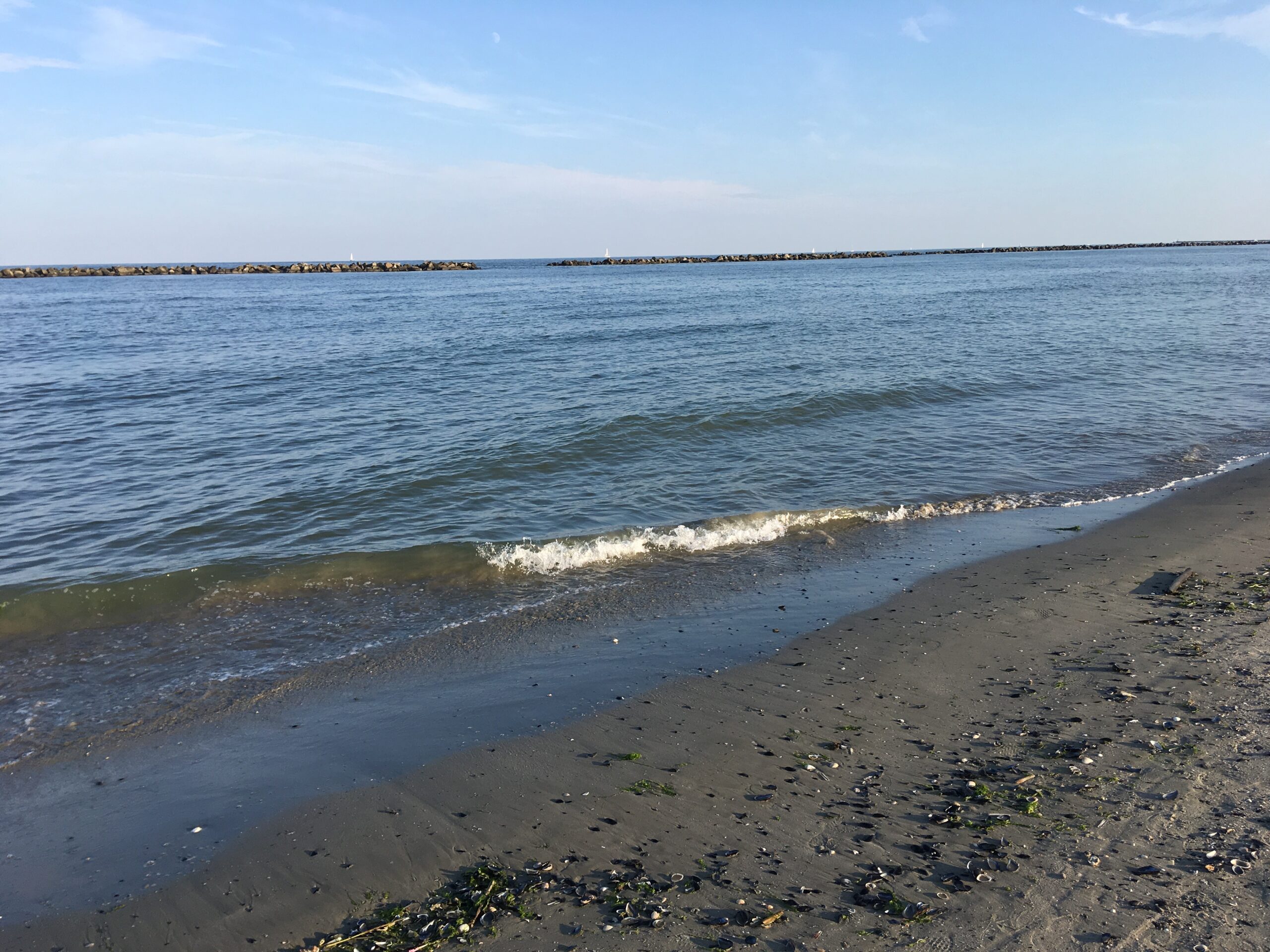 Lutto: un seminario per conoscere e affrontare questa esperienza